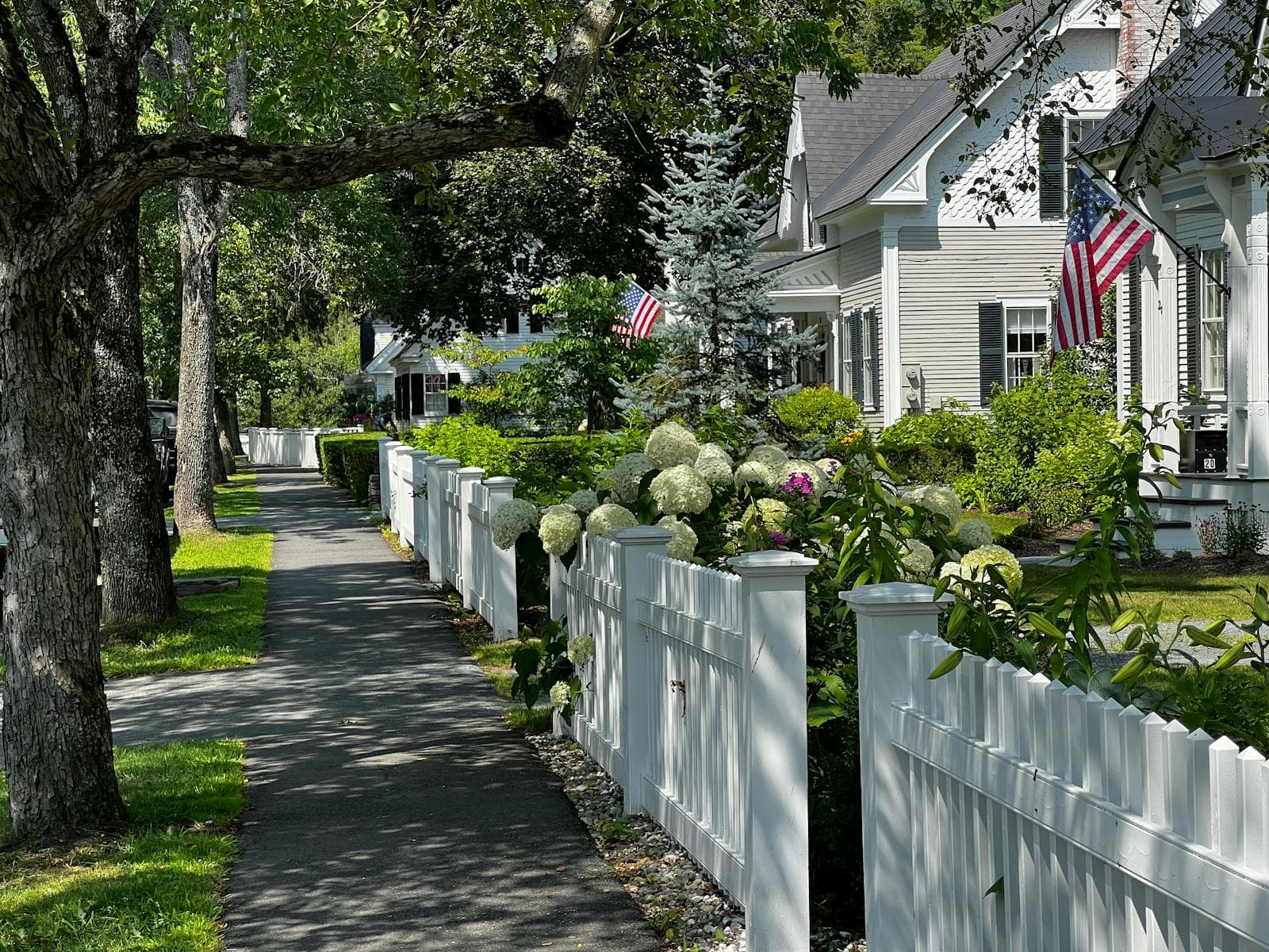 Georgetown, Texas residential neighborhood with mature oak trees