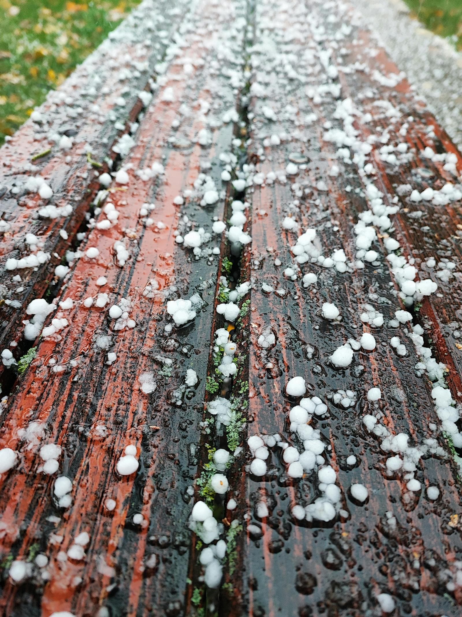 Close-up of hail-impacted shingles with chalk-circled damage marks